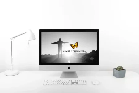 mockup d'un ordinateur représentant la page d'accueil du site internet de Claude Singer